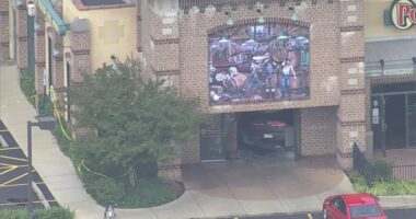 14 injured after vehicle crashes into Illinois restaurant
