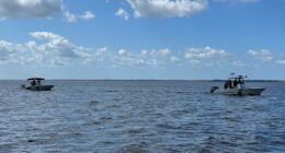 2 missing after falling into St. Johns River while shrimping on dock in Palatka