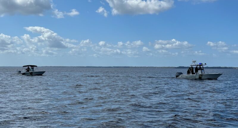 2 missing after falling into St. Johns River while shrimping on dock in Palatka