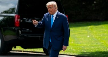 3 major fights on the right to watch in Trump’s next 6 months