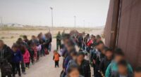 $40 Billion in Benefit Programs Protected from Illegals