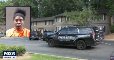 5-year-old Georgia twins found gun, and it went off: Cops