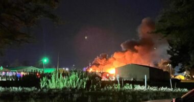 6 horses, 1 dog die in horse barn fire at Coles Co. Fairgrounds