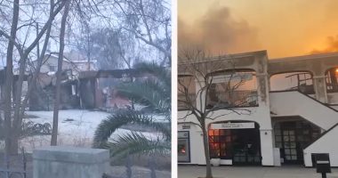 6 months after Eaton and Palisades fires, there are signs of progress and recovery