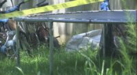6-year-old Hampton County boy in hospital after being shot, County sheriff stressing gun safety