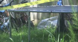 6-year-old Hampton County boy in hospital after being shot, County sheriff stressing gun safety