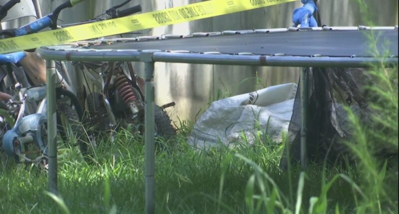 6-year-old Hampton County boy in hospital after being shot, County sheriff stressing gun safety