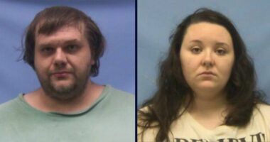7-year-old 'near fatality' after years of malnutrition: Cops