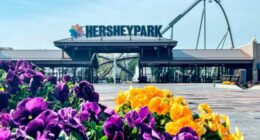 9-year-old dies after incident at The Boardwalk at Hersheypark