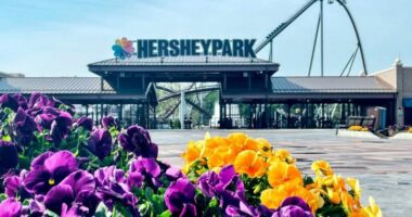 9-year-old dies after incident at The Boardwalk at Hersheypark