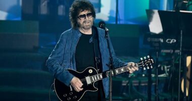 A London music festival cancels its final night after ELO's Jeff Lynne pulls out