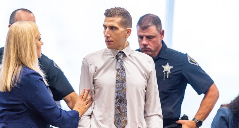 A Q-Tip and spotless car were key evidence linking Bryan Kohberger to murders of 4 Idaho students