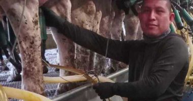 A Vermont dairy farm was raided. The mixed messages from Washington since then have increased fears