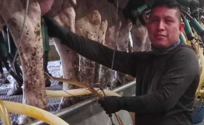 A Vermont dairy farm was raided. The mixed messages from Washington since then have increased fears