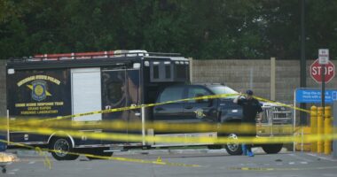 A man accused of stabbing 11 people at a Walmart is in Michigan authorities' custody