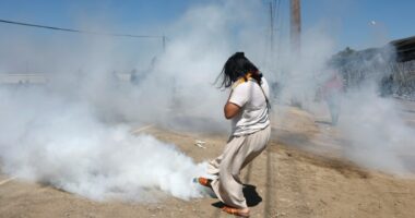Advocates call for 2-day field worker strike to protest ongoing ICE raids