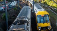 Nearly 1000 jobs will be slashed from the NSW transport department under a restructure within the state government department.
