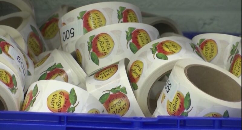 Almost 500,000 voters to be purged from GA voter list