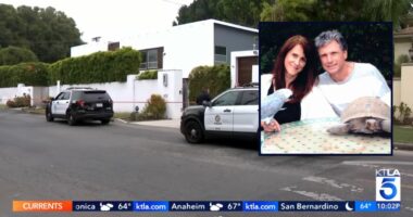 'American Idol' exec, husband slain during burglary: Cops
