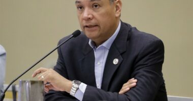 Angel Mom Deflects Alex Padilla's Attempt to Conflate Illegal Immigrants With Immigrants