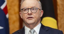 Anthony Albanese won't join France in recognising state of Palestine