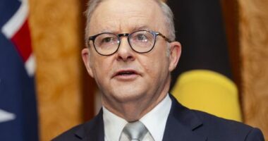 Anthony Albanese won't join France in recognising state of Palestine