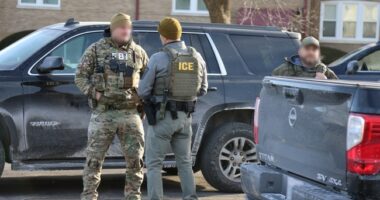 Anti-ICE Activists Try to Prevent ICE Agents From Taking Man in San Francisco - It Was an Unwise Move