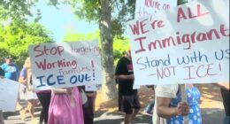 Anti-ICE demonstrators march to Beaufort County Sheriff's Office