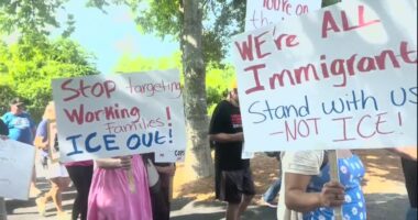 Anti-ICE demonstrators march to Beaufort County Sheriff's Office