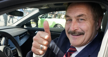 Appeals court reverses Mike Lindell's $5 million loss