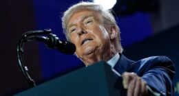 Appeals court rules Trump's birthright policy is unconstitutional