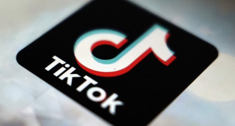 Arizona TikToker arrested after viral pranks on local businesses