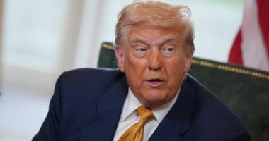 United States President Donald Trump after securing a deal between the USA and the EU on July 27.