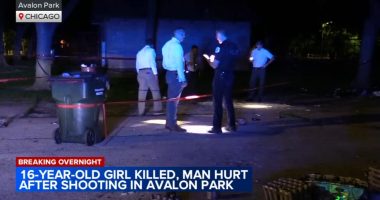 Avalon Park, Chicago shooting: 16-year-old Meeyah Smith killed, man hurt in 1200-block of East 83rd Street, police department says
