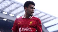 Bayern Munich 'make Luis Diaz top transfer target' after Jamal Musiala's horror injury - as Liverpool star 'tells German giants he is keen on move'