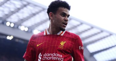 Bayern Munich 'make Luis Diaz top transfer target' after Jamal Musiala's horror injury - as Liverpool star 'tells German giants he is keen on move'