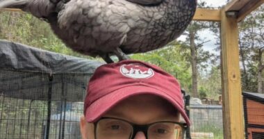 Beyond the ordinary: an animal sanctuary for the forgotten and fabulous