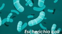 Biotech company teams up with U of I to advance promising antibiotic