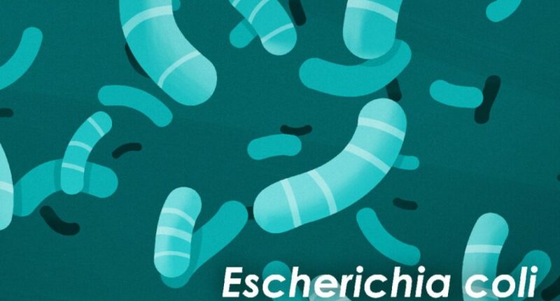 Biotech company teams up with U of I to advance promising antibiotic