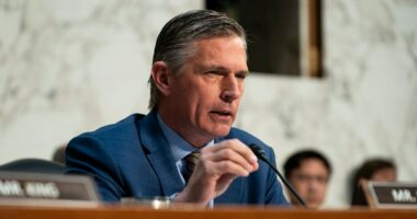 Bipartisan senators seek study on wildfire insurance
