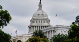 Bondi facing Democratic calls to testify over Epstein investigation