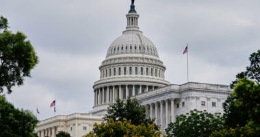 Bondi facing Democratic calls to testify over Epstein investigation