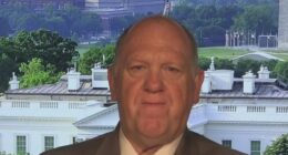 Border czar says ICE arrests include 70% criminals, 30% threats