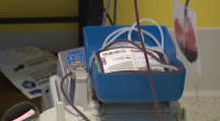 Botox for Blood event draws record turnout at Shepeard Community Blood Center