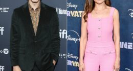 Brandon Routh & Rachel Leigh Cook Spark Romance Rumors With Date Night