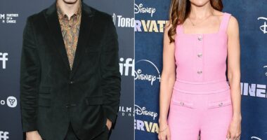 Brandon Routh & Rachel Leigh Cook Spark Romance Rumors With Date Night