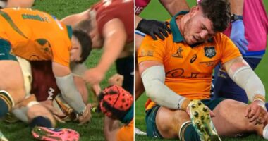 British and Irish Lions left wondering what all the fuss is about as Whingeing Wallabies cry foul over 'dangerous' clearout before dramatic winning cry