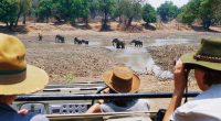 British tourist and her friend are killed by charging elephant during safari trip
