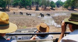 British tourist and her friend are killed by charging elephant during safari trip