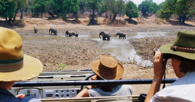 British tourist and her friend are killed by charging elephant during safari trip